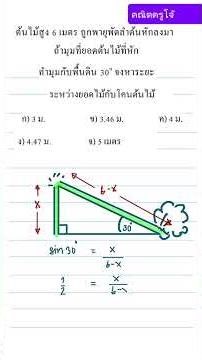 How many meters apart are the top of the tree and the base of the tree? #maths #education #mathem...