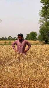 1.1M views · 10K reactions | Jadui Injection  | Team Zili | Facebook