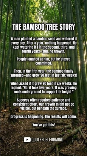 The Bamboo Tree Story 🌱 | Why Success Takes Time🔥#motivation #successmindset #discipline