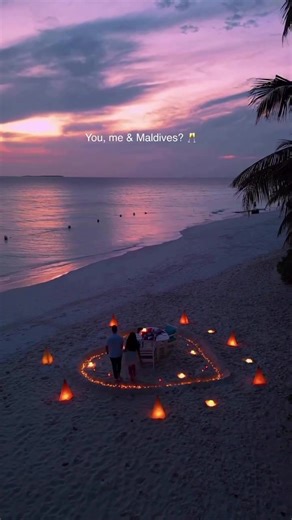 MALDIVES 9-15 SHKURT ✨ 1589€ / personi 📍 Paketë individuale – ofertë ekskluzive! 🔹 Përfshihet: ✈️ Biletë vajtje‑ardhje 🏨 AkomodimI 🥐 ALL INCLUSIVE 🎒 CANTE DORE 7 KG 20 KG BAGAZH 📩 Book your trip! Contact us: 📲 CEL: 355 6920 69 694 🖊️ Facebook: Star Tours 📍 Adresa: Rruga Durrësit, pranë Kafe Flores, Pallati nr. 1