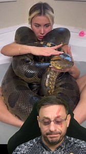 1.9M views · 14K reactions | Sucuri gigante de estimação? #cobra #serpente #anaconda #petsnake #sucuri | Biólogo Henrique o Biólogo das Cobras | Facebook