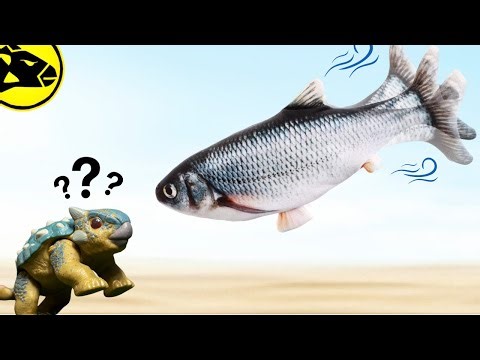 Bumpy vs Flying Fish