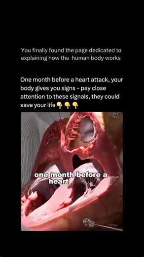 The Human Body 🧬 on Instagram: "🧠 Follow @explainingthebody to learn more about the workings of the body one post at a time, The popular image of a sudden, crushing chest pain often overshadows the fact that heart attacks are often preceded by subtle, non-emergency warning signs. Your body frequently gives you a crucial one-month window of opportunity to take action, especially since these symptoms tend to be less severe but become more frequent as the day approaches. One of the most common ea