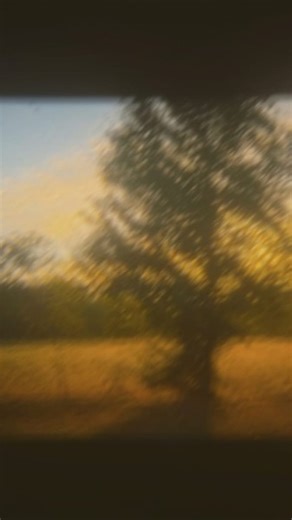 The English Society on Instagram: "A year has come to an end, and another begins. Our hearts are filled with fading memories; ones we wish could stay even when time moves on. These bittersweet moments carry with themselves a painful pleasure; a moment where the passing year connects to the new one. The yearly edition's theme is almost here. Amidst the chaos, coffee and comfort, the team is at work. It will be revealed soon, so stay tuned!✨ -Team Willow