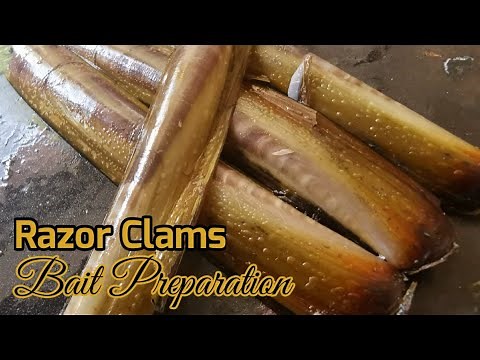 Sea Fishing UK | How To Prepare Fishing Bait | Raw Razor Clams