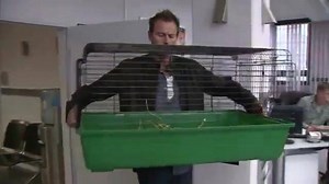 Heute ermitteln die Kommissare von K11 wieder zur besten Sendezeit (20:15 Uhr) – diesmal mit dabei: Gustl :D | SAT.1 GOLD