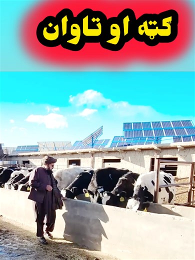 ghata ao tawan #aboutafghanistan0 #aboutafghanistan @general Mobin Khan official