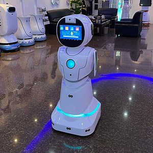 [Hot Item] Airport Passenger Guidance Flight Updates Baggage Assistance Service Robot