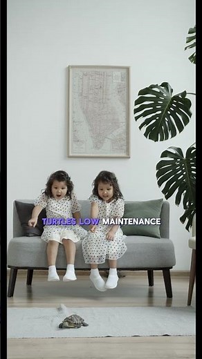 Best Beginner Pets for Kids 🐹🐠🐰 (Kid-Friendly & Easy to Care For!) #pets #cat #puppy #facts #birds