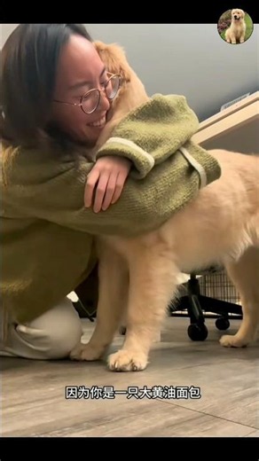 A Golden Retriever makes every moment unforgettable ❤️✨🥂