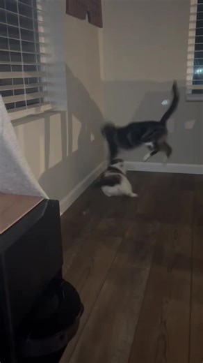 Experiencing Unusual House Feelings: What to Know