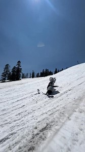 Fursuit skiing | Fursuits & Randoms