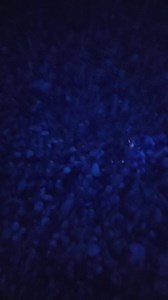 So many rocks on the beaches light up but only Yooperlites are this bright. Found using a Convoy C8 from www.yooperlites.com during the Fall of 2024 North of Newberry Michigan on Lake Superior. #yooperlites #ConvoyC8 #lakesuperior #yooper #minerals #Michigan #minecraft #rocks #glow #UV | Yooperlites