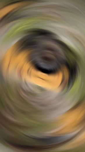 Rockcrawler or Realscaler ?! 🥰😍 #offroad #landrover #4x4 #cameltrophy #rangerover #4x4offroad | Job RC