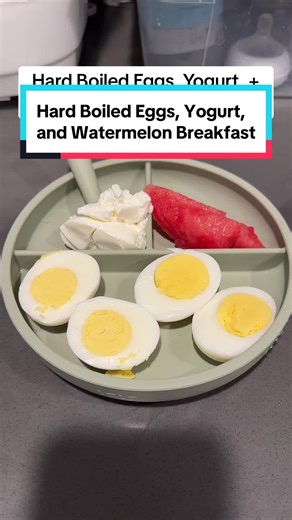 Today the girls are having some eggs with unsweetened greek yogurt and watermelon on the side for a tasty and healthy breakfast. My wife’s been gone for the past couple of nights for important family business. Since we didn’t feel comfortable taking the girls on long flights for only a day and a half, I decided to look after the girls for the first time by myself. They can be a bit rowdy in the mornings and I was unsure how easy cooking for them would be. So rather than not cook something, I wen