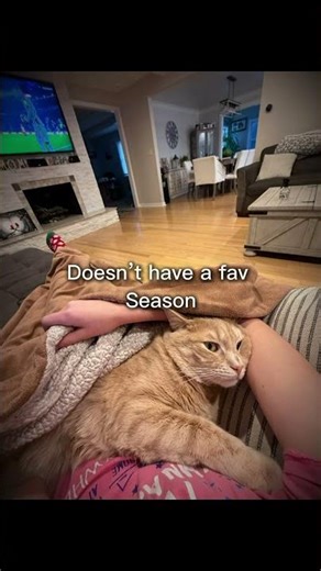 Comment below!! #foryoupage #foryou #subscribe #shorts #shortsfeed #viral #シ