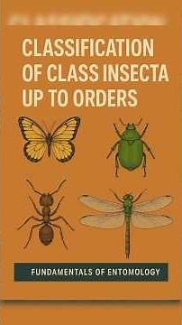 Classification of class insecta upto orders | Fundamental of Entomology | Bsc agriculture#entomology