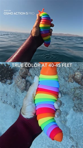 Another under water color test of Osmo Action 5 Pro！ Action 5 Pro delivers true-to-life colors with the built-in color temperature sensor. Pair it with Mimo's Vivid Underwater feature for even clearer and more natural underwater footage. 🎥: IG/roamtobewild #DJI #OsmoAction5pro #colortest #underwater | DJI Australia and New Zealand