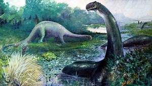Mokele-Mbembe: The "Living Dinosaurs" People Thought Lived In The Congo