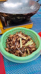 cooking crickets, yaya and shally ready eating | YaYa Note