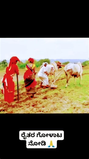 ಮಮತೆ ಎಂಬ ಕರುಳ