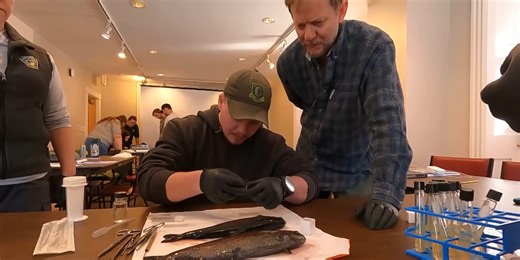 Vermont fish hatchery leads Northeast in fish health education