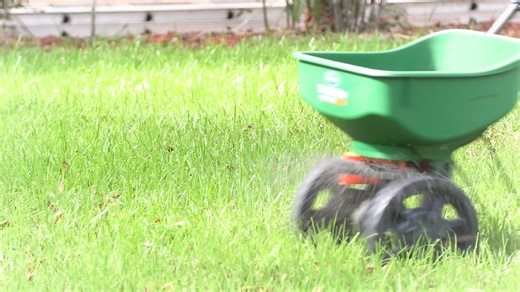 46 reactions · 21 shares | Fertilizing your lawn the right way can make a big difference for Florida’s water quality. When fertilizers are applied incorrectly, they can wash into nearby water bodies, harming ecosystems and diminishing water quality. Here are five easy tips to fertilize the Florida-friendly way. | Southwest Florida Water Management District | Facebook