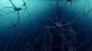 brain neural network and neuron synapse firing 3d render