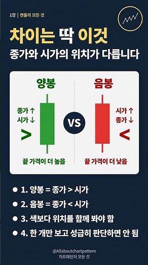 [주식 차트 기초] 초록 캔들과 빨간 캔들의 비밀! 양봉 vs 음봉 완벽 정복 #주식차트보는법 #양봉음봉 #주식초보기초