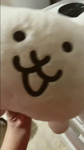 Taking care of a basic cat