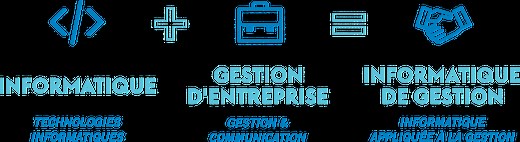 Bachelor en Informatique de gestion - Haute-Ecole Arc