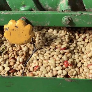 1.6K views · 13 reactions | Wet Mill process#directcoffee #coffeesourcingtrip#coffeelabs #coffeelabsroasters | Coffee Labs Roasters INC | Facebook