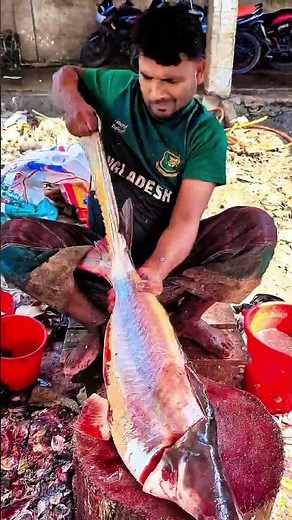 Fish cutting skill Awasome #fishing #fish #shortsfeed #love #loveshort #azhariwaz #wazmahfil