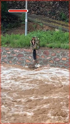 How One Brave Rescue Saved a Puppy’s Life! | I Support Animal Rescue