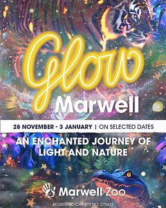 15K views · 24 reactions | See wildlife in a whole new light! ✨ Our enchanted nature light trail is back at Marwell Zoo this winter, and you'll get FREE entry into the park to see the animals during the day. Book early to secure your preferred date. | Marwell Wildlife | Facebook