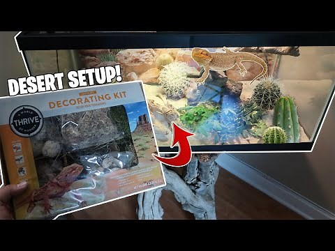 THE *BEST* 40 GALLON Bearded Dragon Tank Setup!