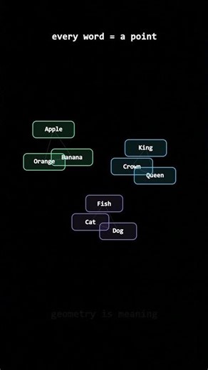 Why AI Thinks in Shapes:Vector Embeddings