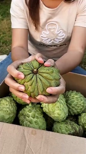 What's this fruit called? 🎥 x/Solocuriosos_1 | Discvr Blog