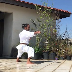 Life is training -Training never stops for Horacio @super_saito . . #traditionalmartialarts #karate #kata #yoshinproject #budocool | Yoshin Project