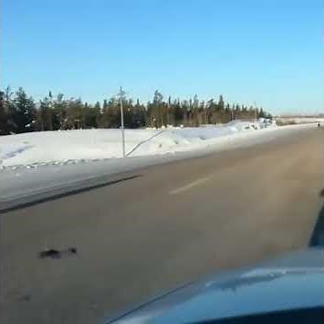 Two black wolves running down the highway near Yellowknife, Canada