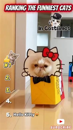 Ranking The Funniest Cats in Costumes 😹