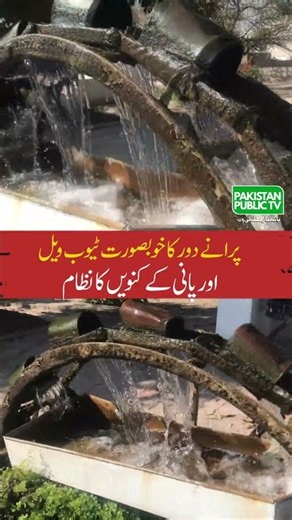 Old Village Tube Well & Well Water System | A Beautiful Memory of Rural Pakistan