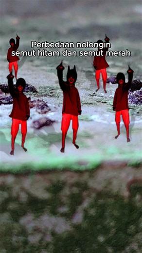 Red ant: I will fight 🔥#meme #capcut #priasolo