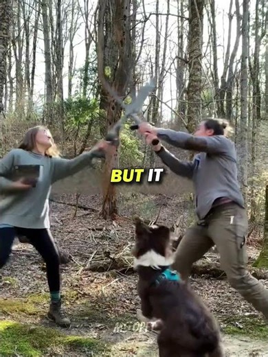 Dog Learned to Sword Fight Just to Fit In 🐶⚔️