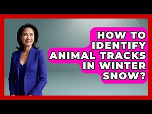 How To Identify Animal Tracks In Winter Snow? - Seasonal Living Guide