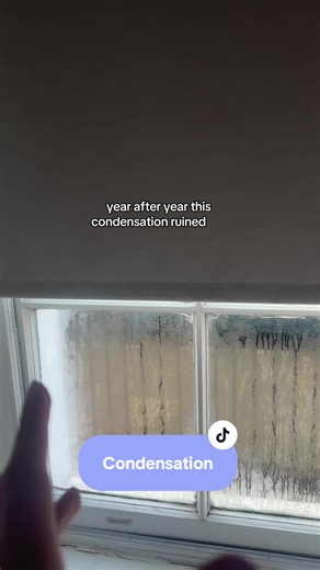 Anyone else have this problem? #dehumidifier #homedehumidifier #condensation #damp