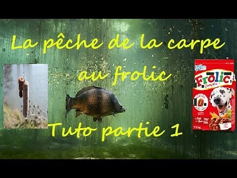 PECHE DE LA CARPE AU FROLIC, TUTO PARTIE 1