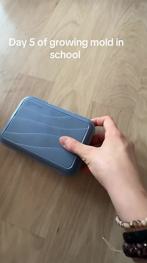 Growing Mold in School: Day 5 Progress Report