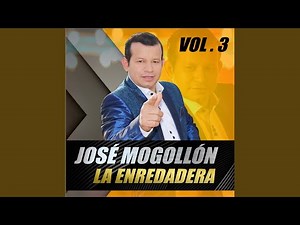 Mi Gran Tesoro