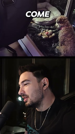 🐶 How to Train Your Dog to Eat — No Shock Collar Needed